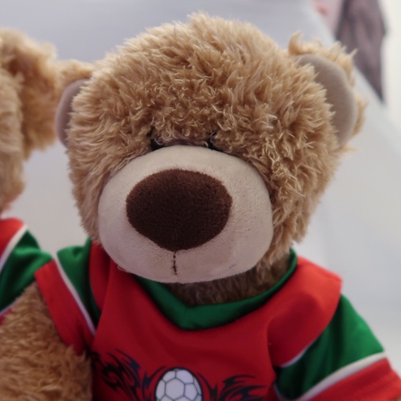 Build a bear 2 teddy bears - Picture 3 of 4